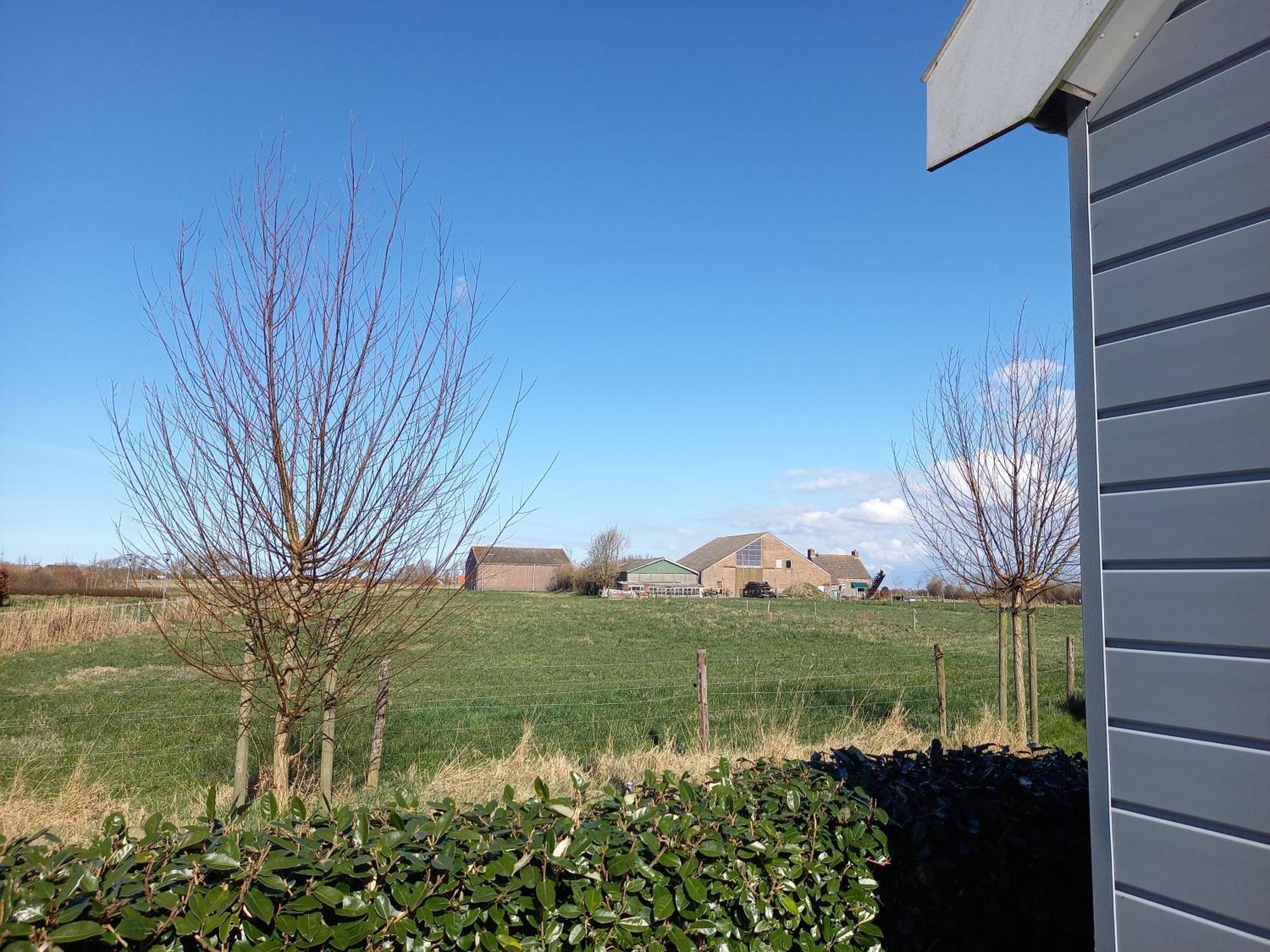 Room By The Sea Zoutelande Rom bilde